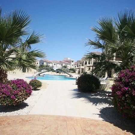 Faros Beach 파포스 객실 사진