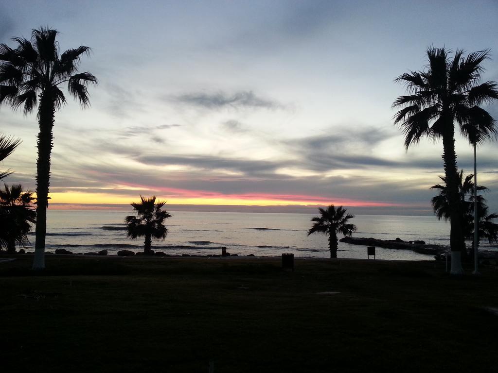 Faros Beach 파포스 객실 사진