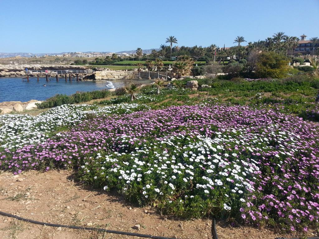 Faros Beach 파포스 외부 사진